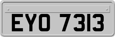EYO7313
