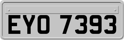 EYO7393
