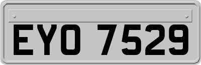 EYO7529