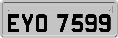 EYO7599