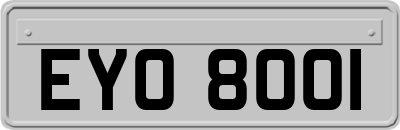EYO8001