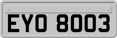 EYO8003