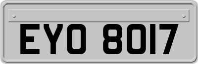 EYO8017