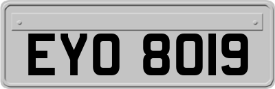 EYO8019