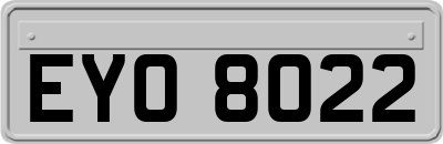 EYO8022