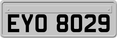 EYO8029