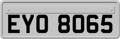 EYO8065