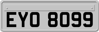 EYO8099