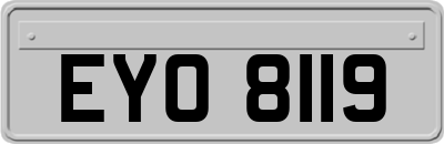 EYO8119