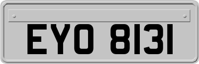 EYO8131