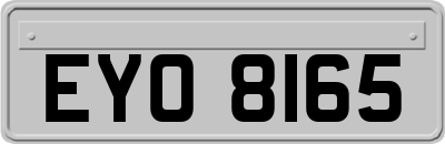EYO8165
