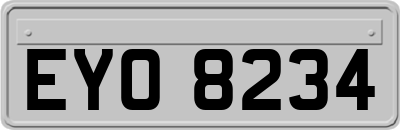 EYO8234
