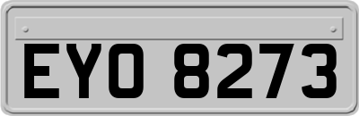 EYO8273