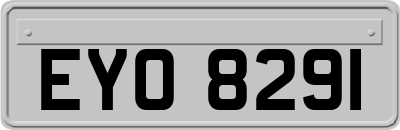 EYO8291