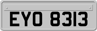 EYO8313