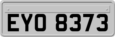 EYO8373