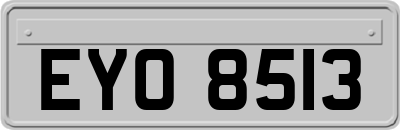 EYO8513
