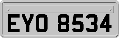 EYO8534