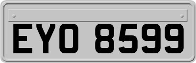 EYO8599