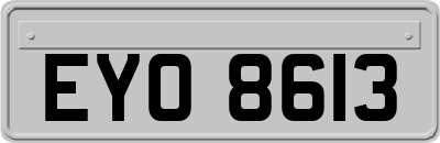 EYO8613