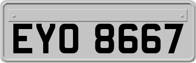EYO8667