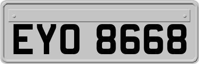 EYO8668