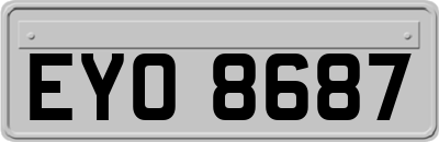 EYO8687