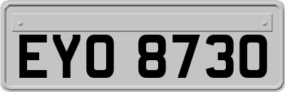 EYO8730