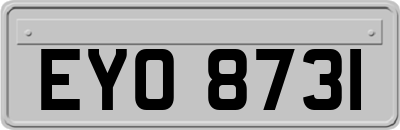 EYO8731