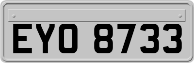 EYO8733