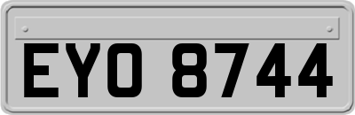 EYO8744