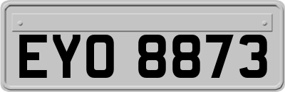 EYO8873