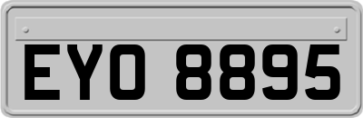 EYO8895