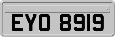 EYO8919