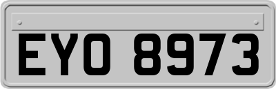 EYO8973