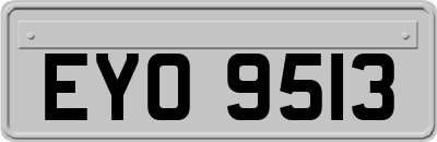 EYO9513
