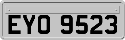 EYO9523