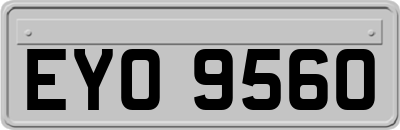 EYO9560