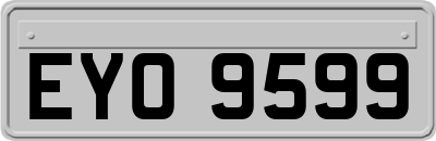 EYO9599