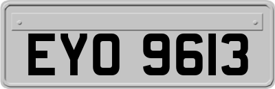 EYO9613
