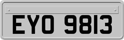 EYO9813