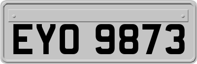 EYO9873