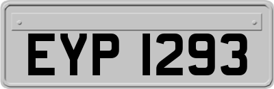 EYP1293