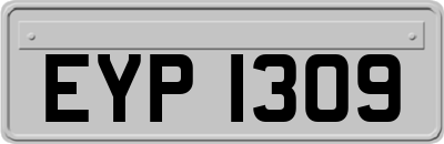 EYP1309