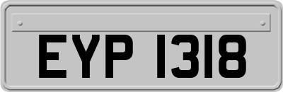 EYP1318