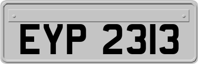 EYP2313