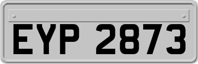 EYP2873