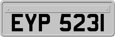 EYP5231