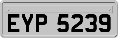 EYP5239