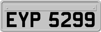 EYP5299